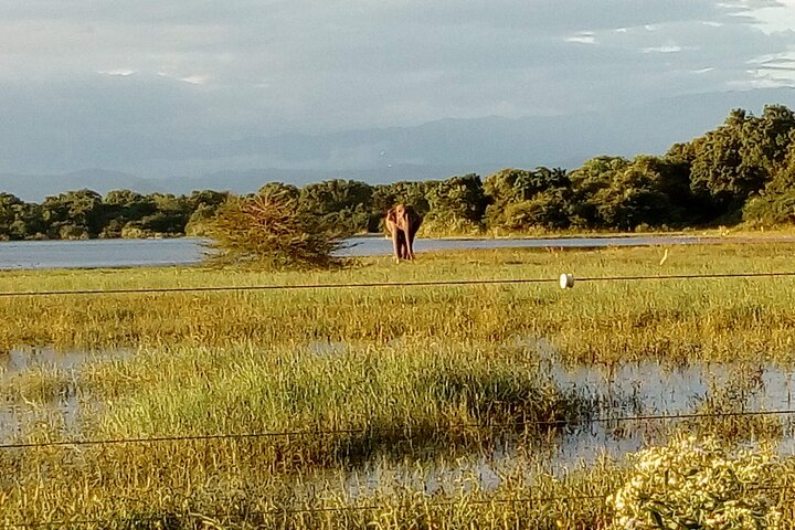 Udawalawe National Park